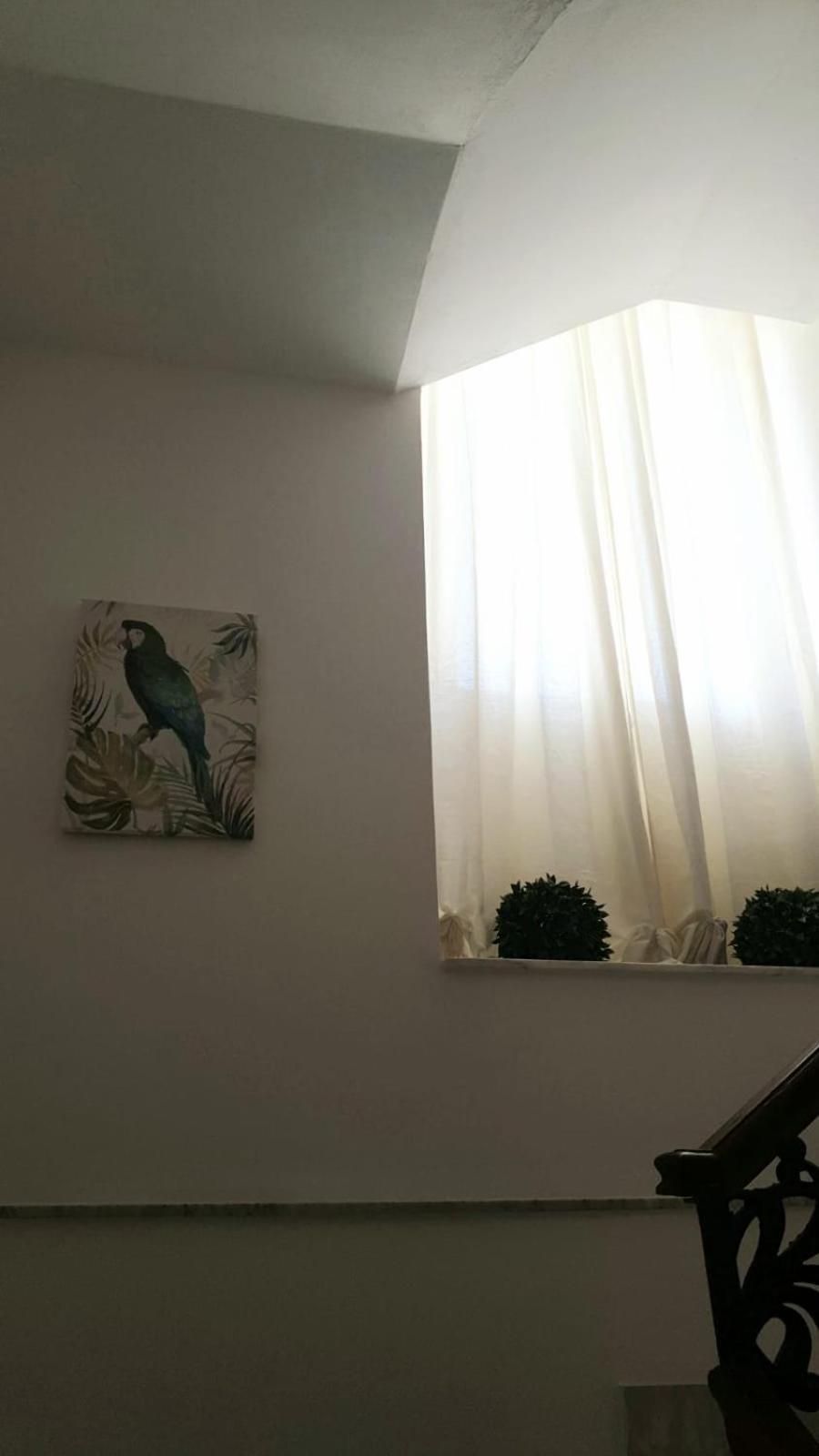 Mia'S Rooms Noto Zewnętrze zdjęcie